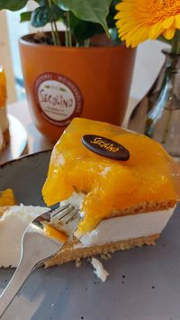 Secolino Cafe Patisserie Mandarinensahne